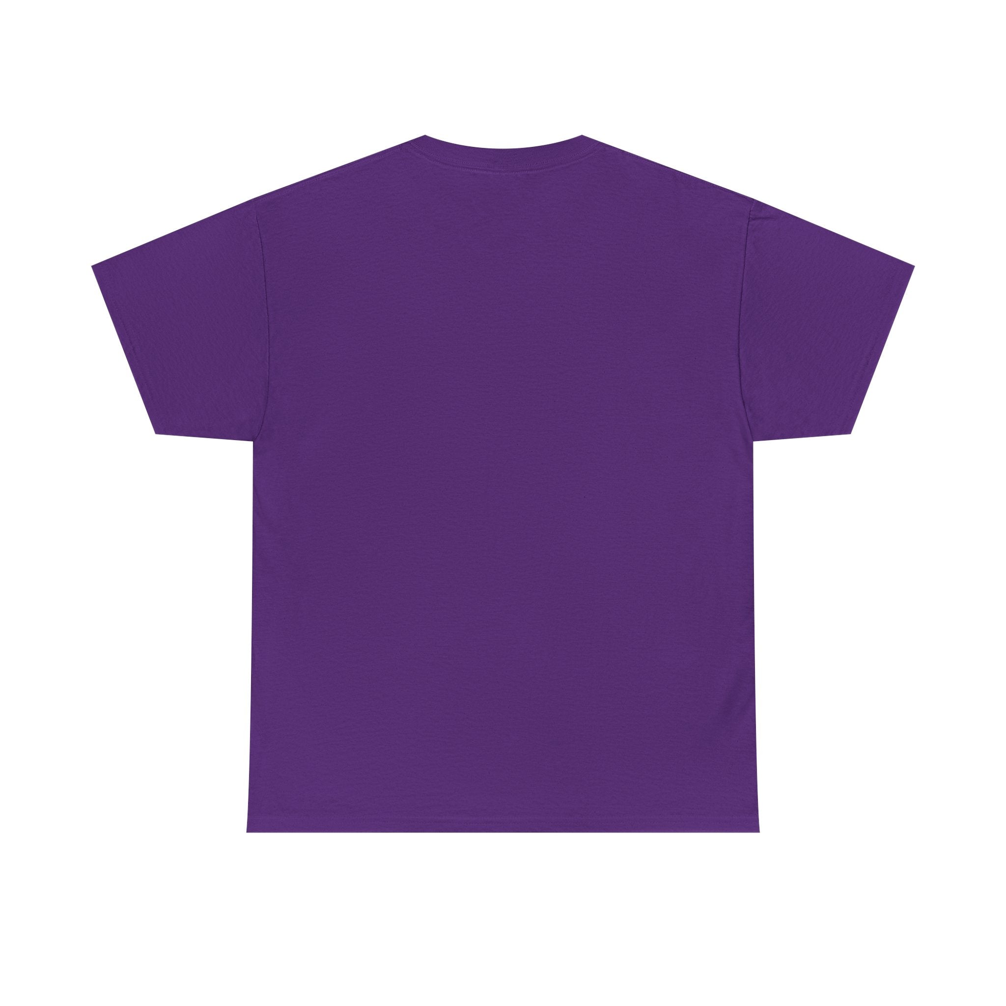 Too Queer to Be an NPC T-Shirt — Main Character Energy LGBTQ+ Pride Tee