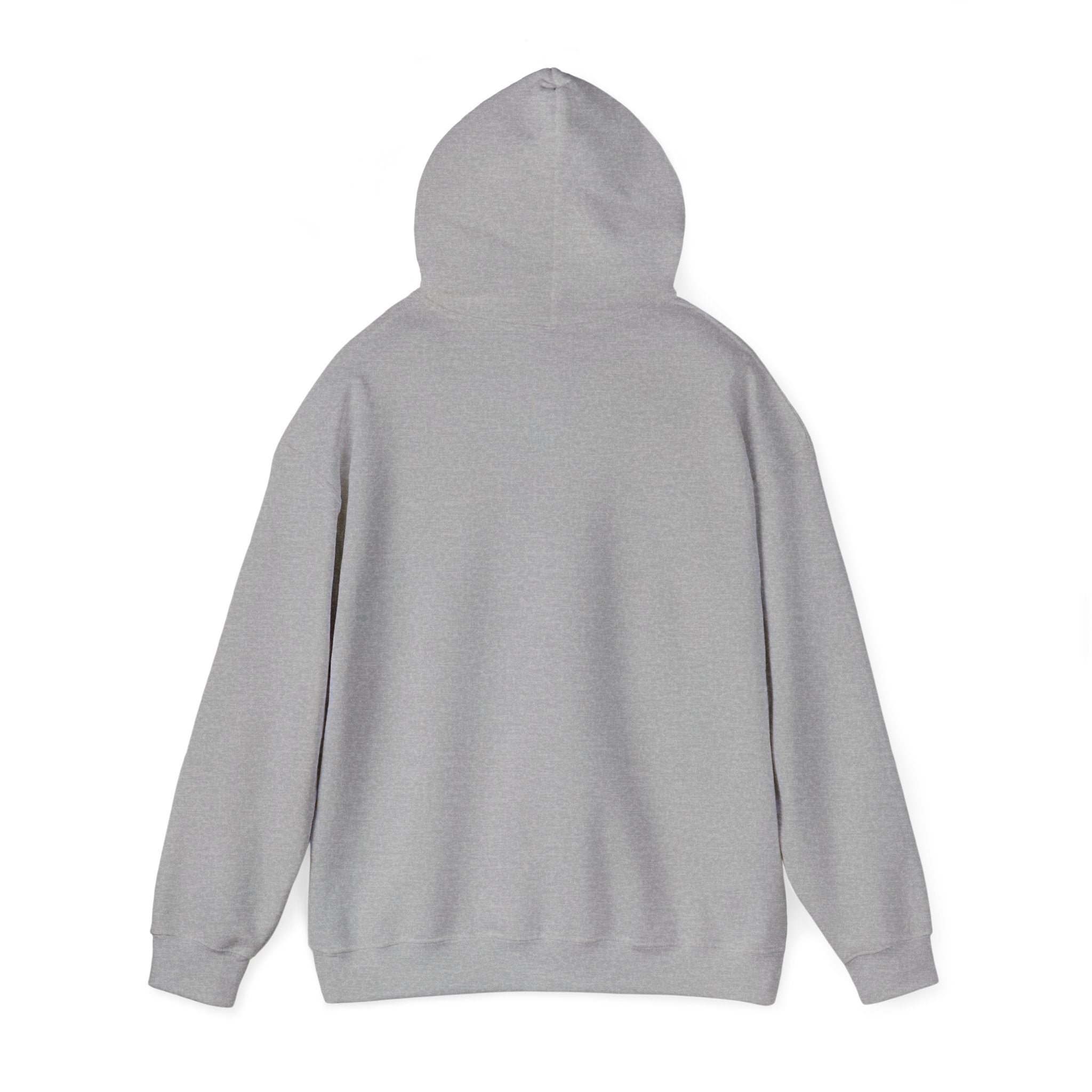 Hoodie — 'Spiraling. I'm rebranding the collapse.' Graphic Pullover