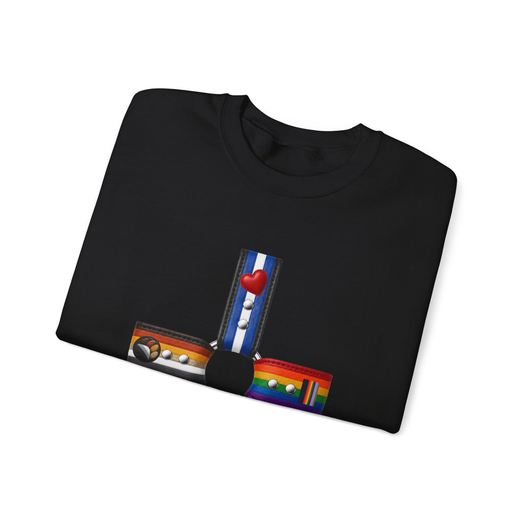 Plus Sign Pride Sweatshirt — LGBTQ+ Flags Graphic Crewneck