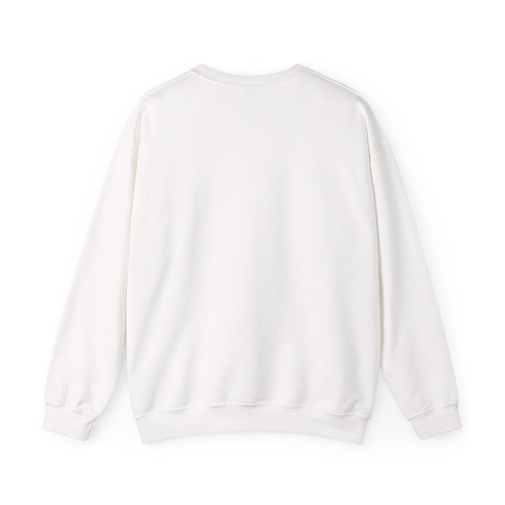 Plus Sign Pride Sweatshirt — LGBTQ+ Flags Graphic Crewneck