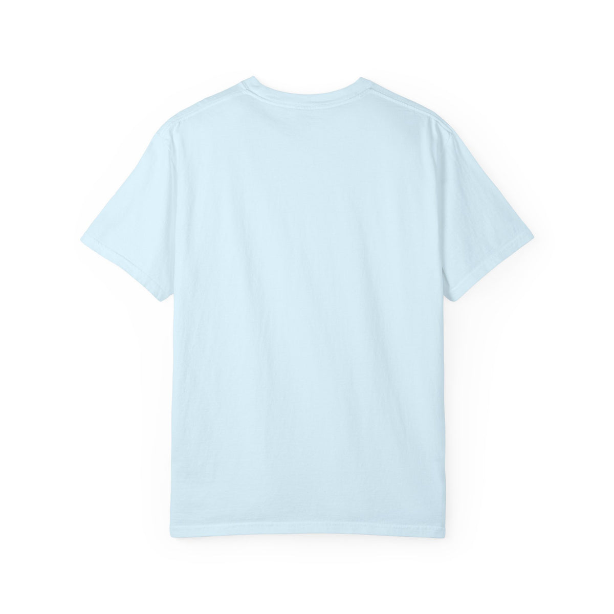 Proud Little Dragons T-Shirt
