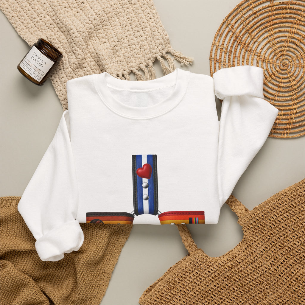 Plus Sign Pride Sweatshirt — LGBTQ+ Flags Graphic Crewneck