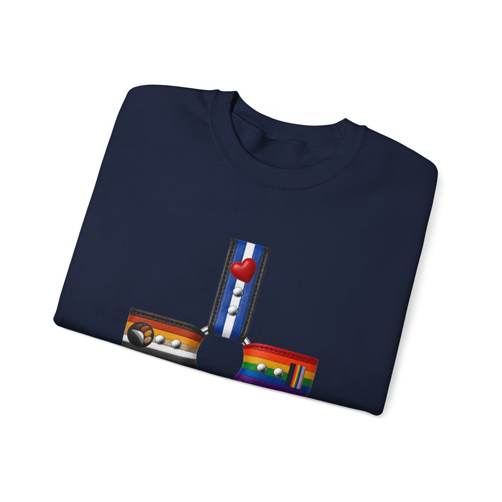 Plus Sign Pride Sweatshirt — LGBTQ+ Flags Graphic Crewneck