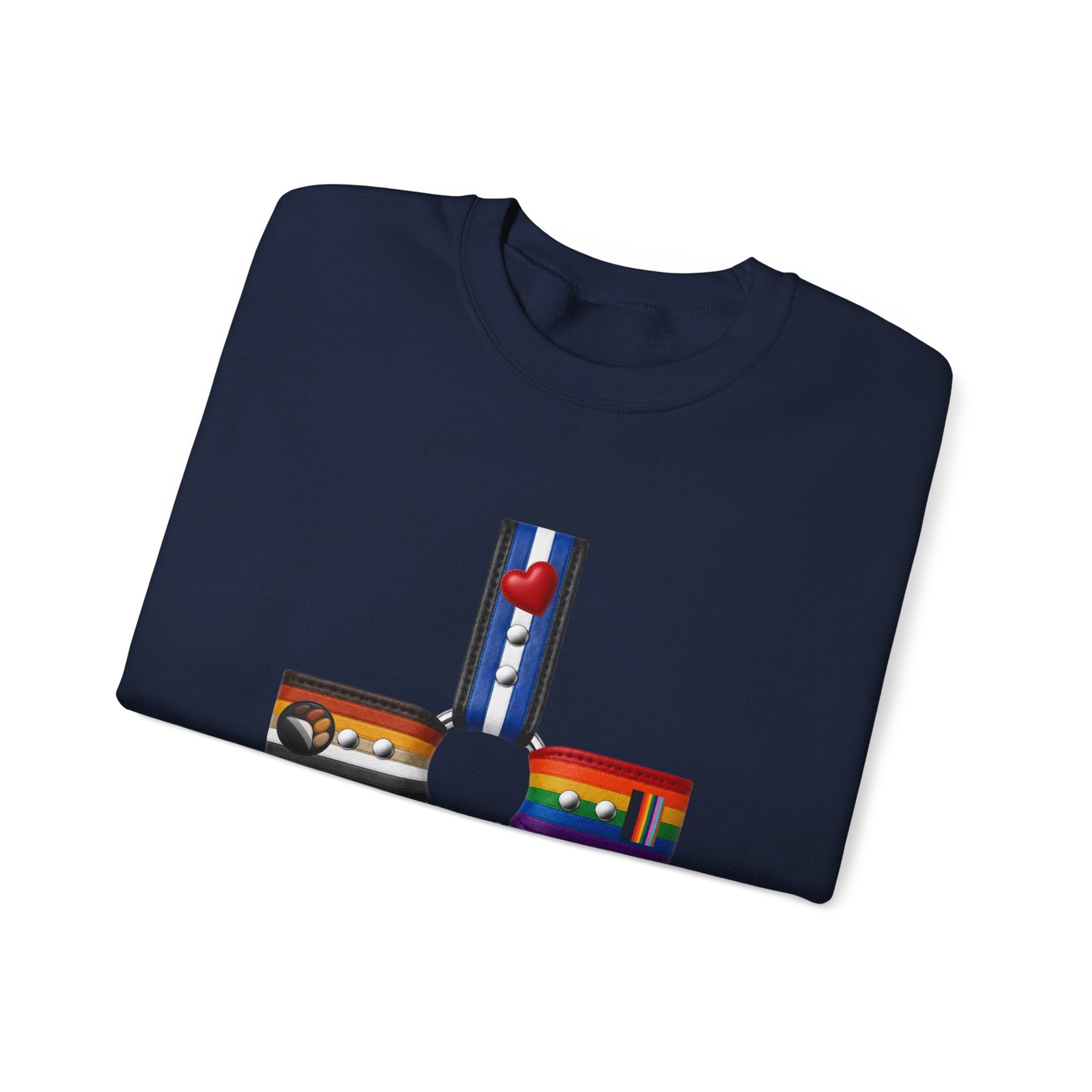 Plus Sign Pride Sweatshirt — LGBTQ+ Flags Graphic Crewneck
