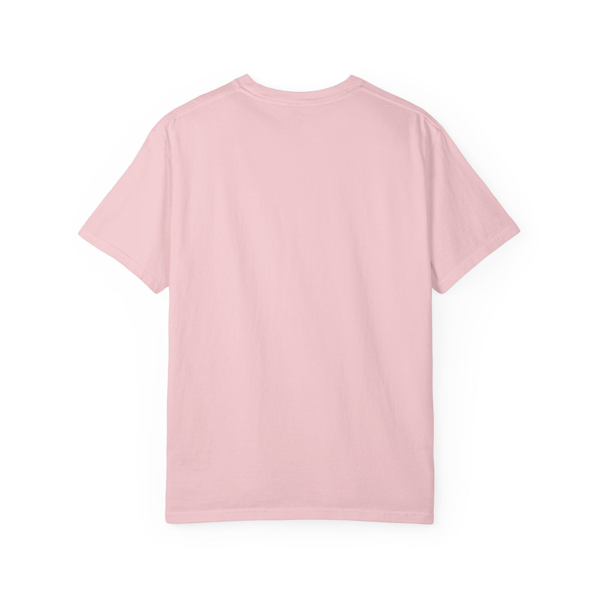 Proud Little Dragons T-Shirt