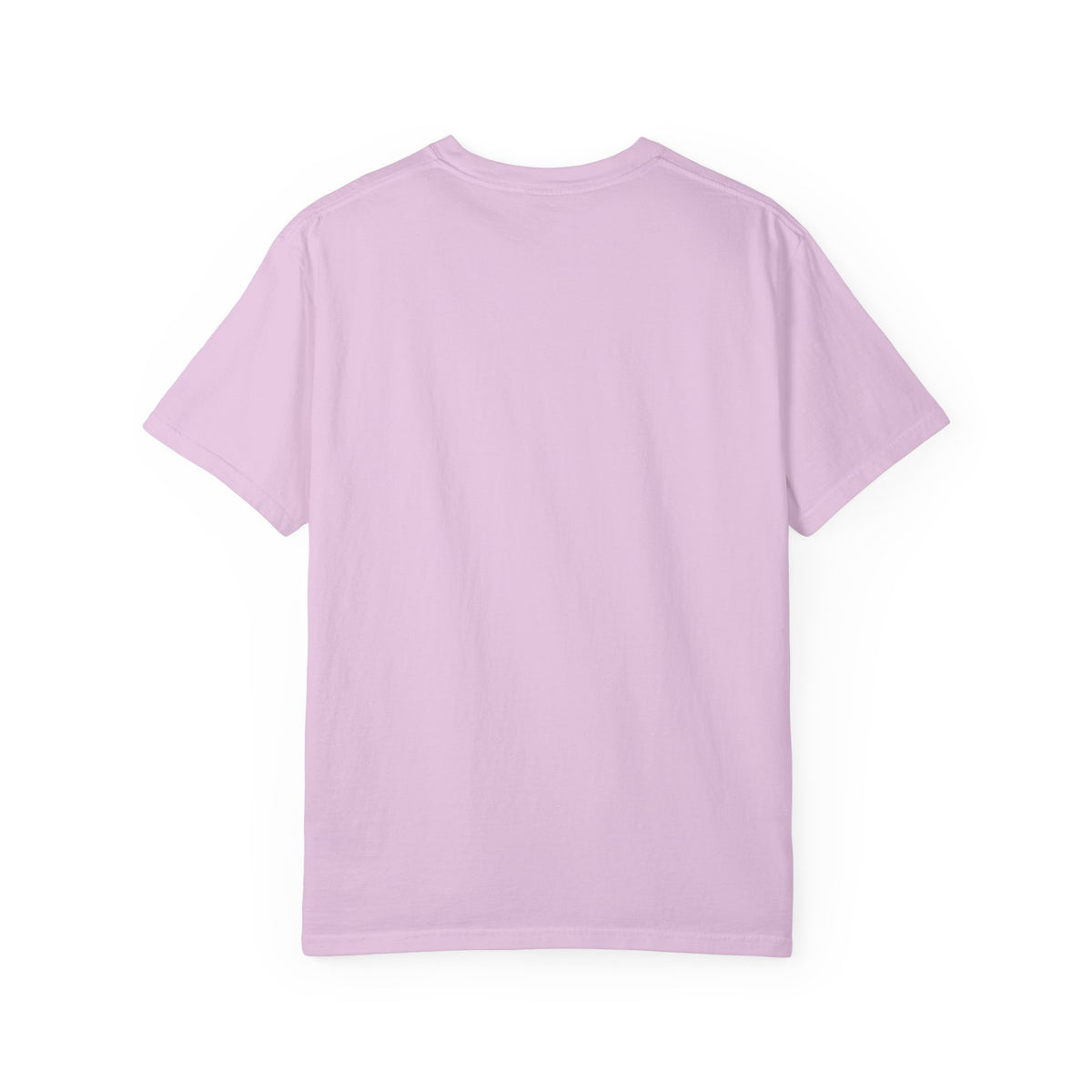 Rainbow Dragon Lineup T-Shirt