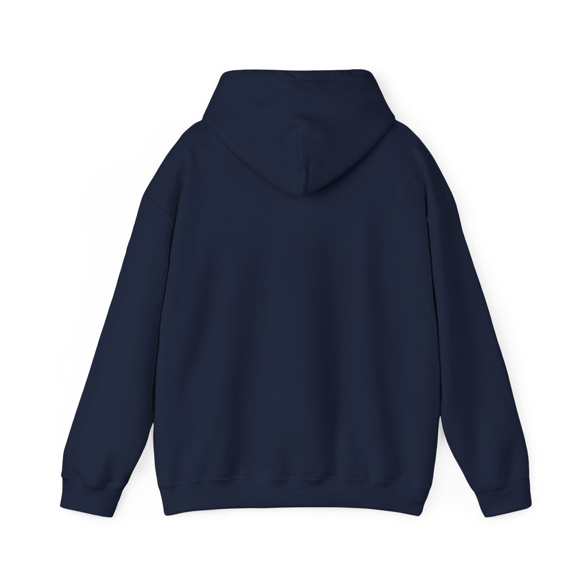 Proud Little Dragons Hoodie — Rainbow Cute Dragon Family Sweatshirt