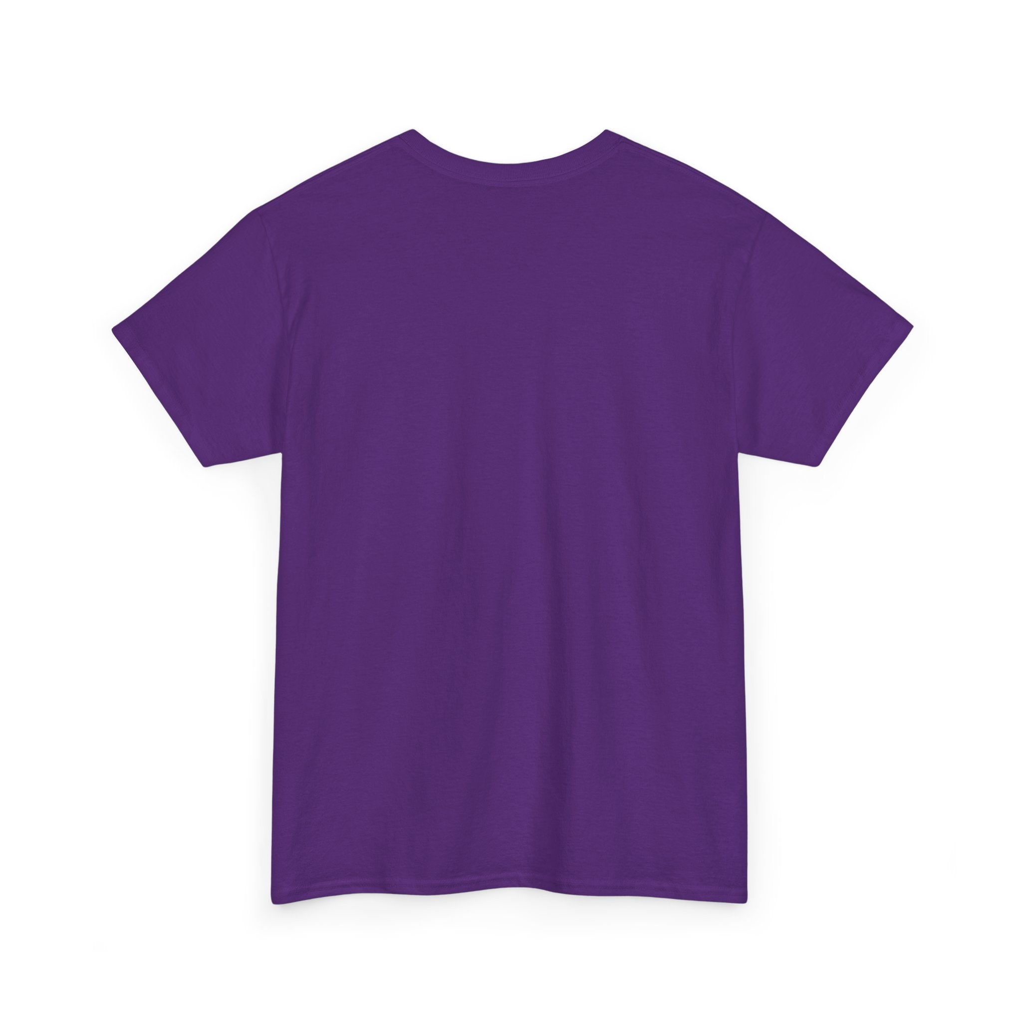 Too Queer to Be an NPC T-Shirt — Main Character Energy LGBTQ+ Pride Tee