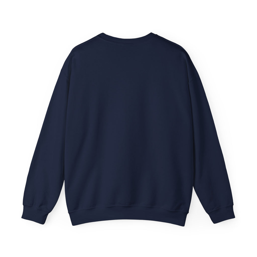 Plus Sign Pride Sweatshirt — LGBTQ+ Flags Graphic Crewneck