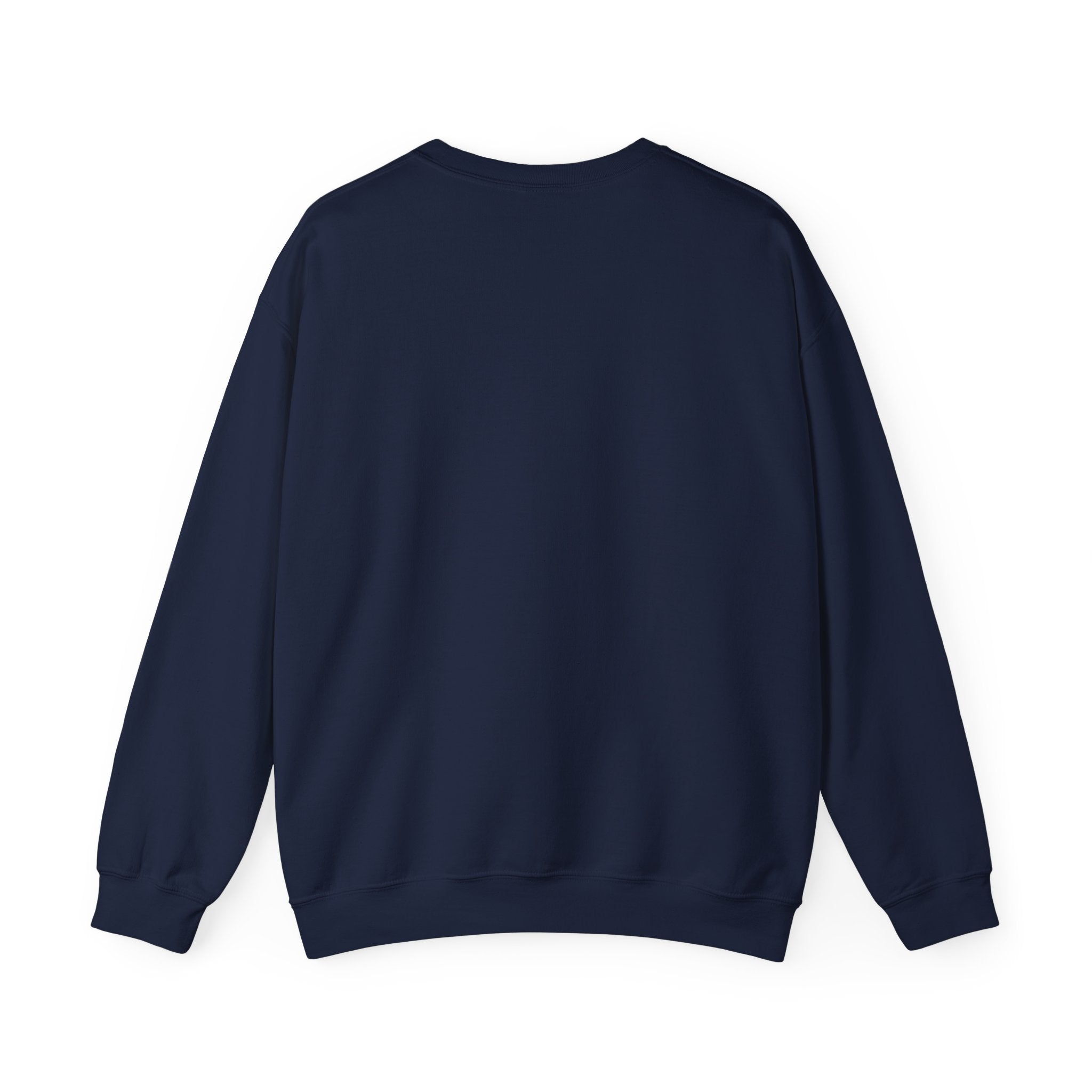 Plus Sign Pride Sweatshirt — LGBTQ+ Flags Graphic Crewneck