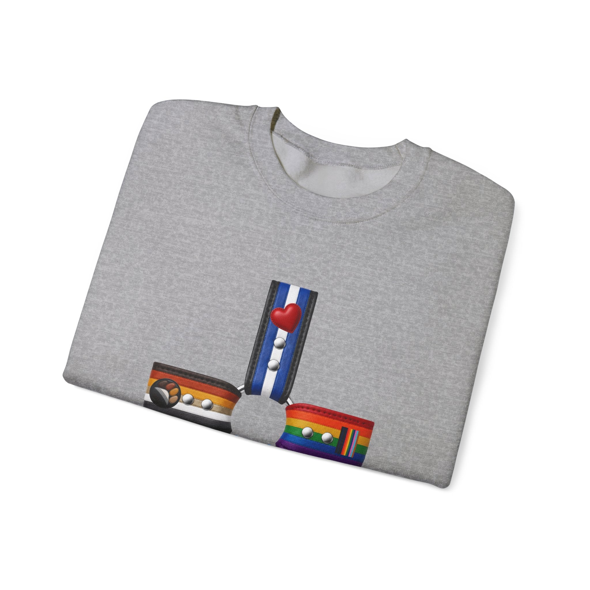 Plus Sign Pride Sweatshirt — LGBTQ+ Flags Graphic Crewneck