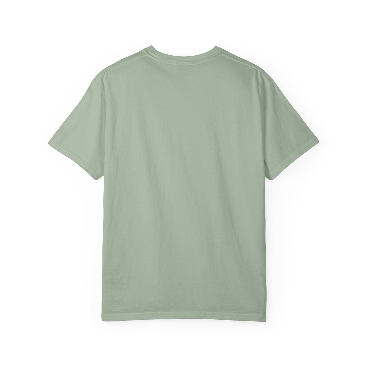 Proud Little Dragons T-Shirt