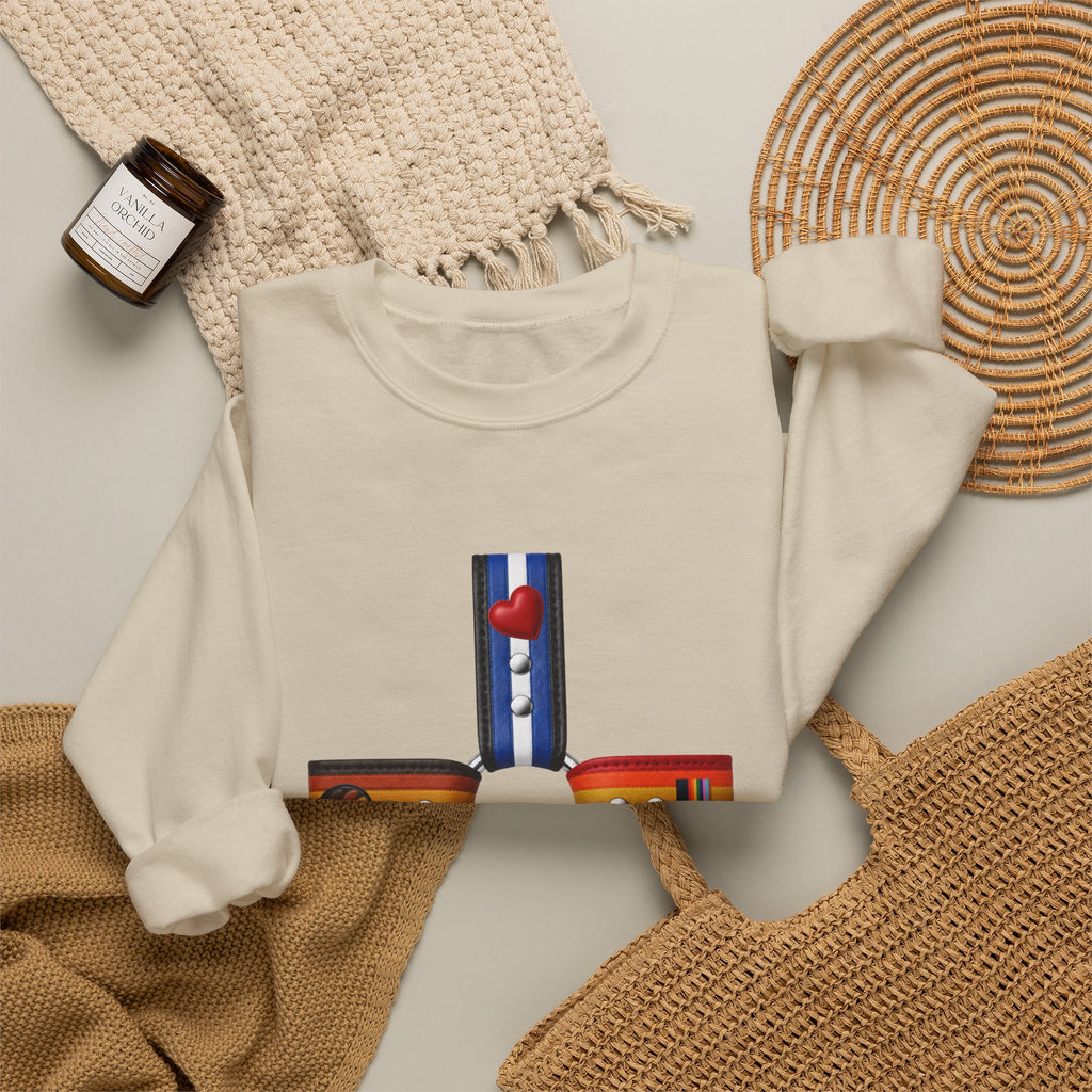 Plus Sign Pride Sweatshirt — LGBTQ+ Flags Graphic Crewneck