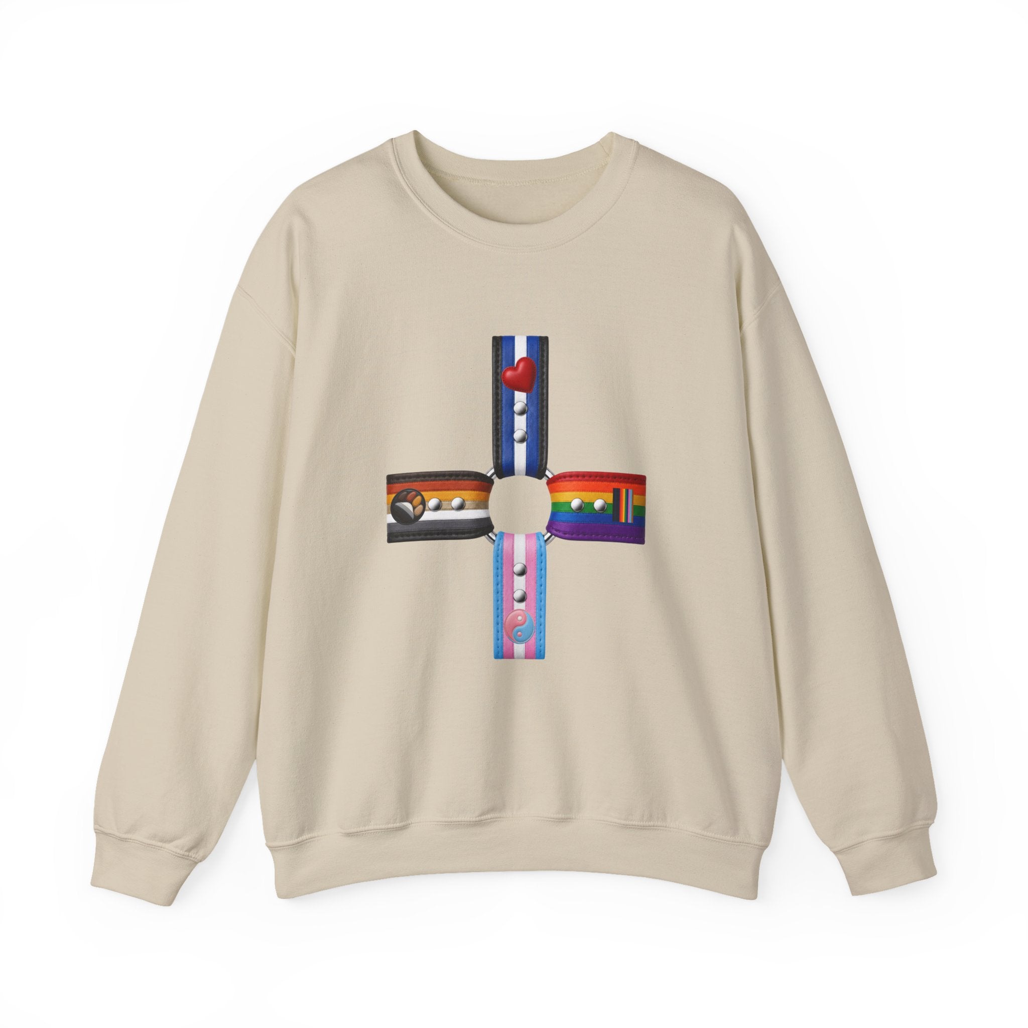 Plus Sign Pride Sweatshirt — LGBTQ+ Flags Graphic Crewneck