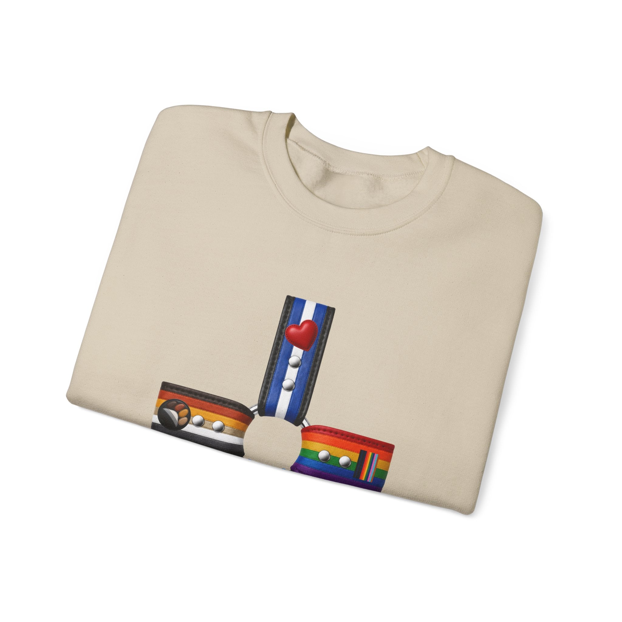 Plus Sign Pride Sweatshirt — LGBTQ+ Flags Graphic Crewneck