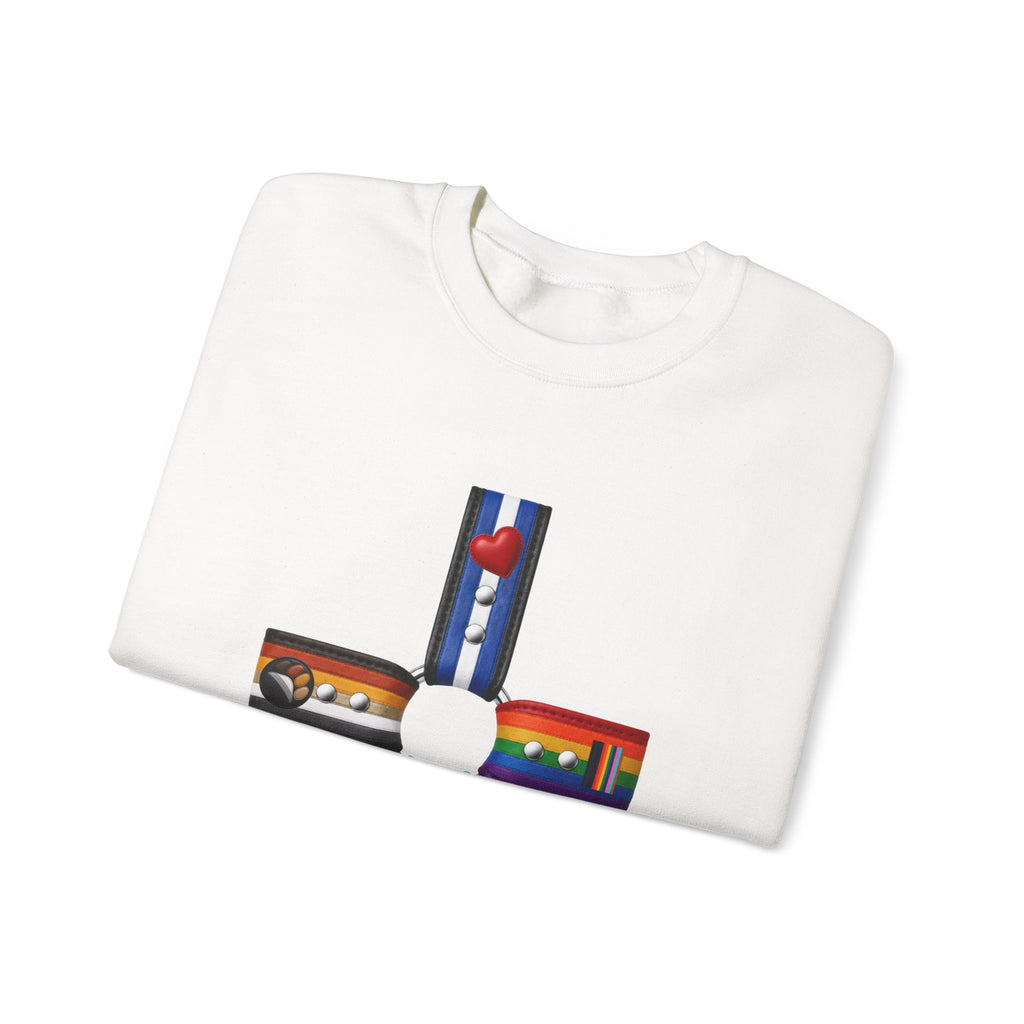 Plus Sign Pride Sweatshirt — LGBTQ+ Flags Graphic Crewneck